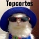 Topcortes