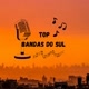 top bandas do sul