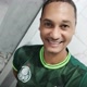 PALMEIRAS AO VIVO