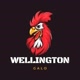 Wellington_Galo🐓