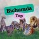Bicharada Top