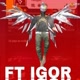 FT_IGOR