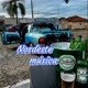 Nordeste_Música 💥
