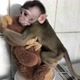 Mundo Macaquinho