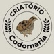 Criatorio Codornaria