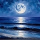 blue Moonlight