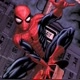 SPIDERMAN-III RQ