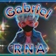 Gabriel RNA