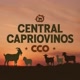 CENTRAL CAPRIOVINOS