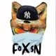 FOXSN