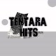 TENTARA HITS 🔥NB🔥