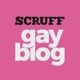 GAY BLOG BR