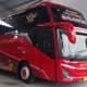 Mitra78 trans