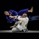 BJJ_Up cortes