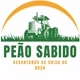 Peão Sabido