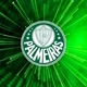 Palmeiras _oficial