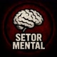 setor mental