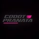 Codott Pranata