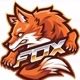 Rony✍✍《《Fox🦊》》
