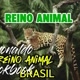 reino animal brasil