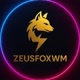 achadinhos do zeusfoxwm
