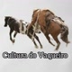 Cultura do Vaqueiro Nordestino