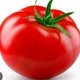 TOMATE🍅👍