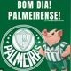 #PALMEIRAS MINHA PAIXÃO