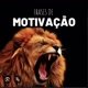 FRASES DE MOTIVAÇÃO 2