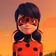 ladybug 🌹