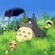 totoro.challenge