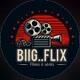 BIIG  FLIX 🎥