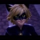 CAT NOIR