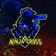 Ninjacross