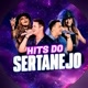 🎶HITS DO SERTANEJO ❤️