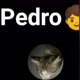 Pedro🧒