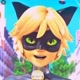 Cat Noir