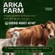 Arka_Farm_Bandung