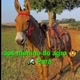 aos_menino_da_pecuária🤠🚜