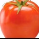 Tomate🍅👍