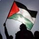 FREE PALESTINE 🇵🇸