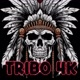 TRIBO 4K