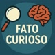 Fato Curioso