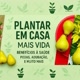 plantar em casa mais vida