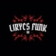 Lirycs Funk Br
