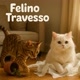 felino travesso