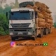 Máfia_Do_Agro_364_RO🇧🇷🌳