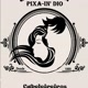 Pixa-In' Dio Cabeleireiros