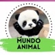 Mundo animal