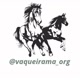 Vaqueirama Organização
